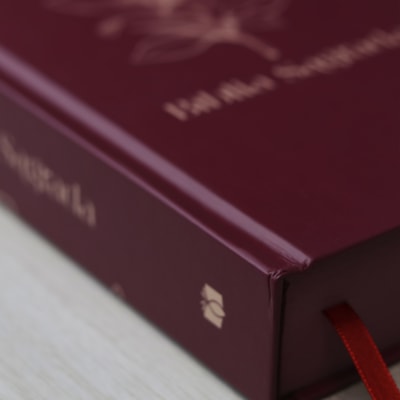 image_b81c992d-ede5-4c02-aba0-02328d96a367