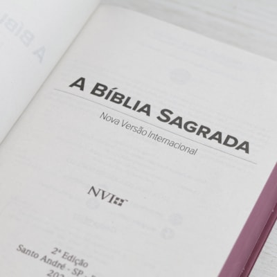 image_564fc370-315d-4d79-86a2-c6da0b8c966d