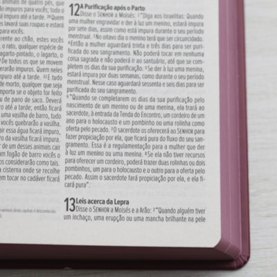 image_b77ec0a7-7839-4b5a-ad3e-b29f2e5af8fa