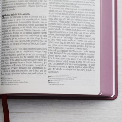 image_0d8ba818-3054-4601-8f98-ceabe619c3b1