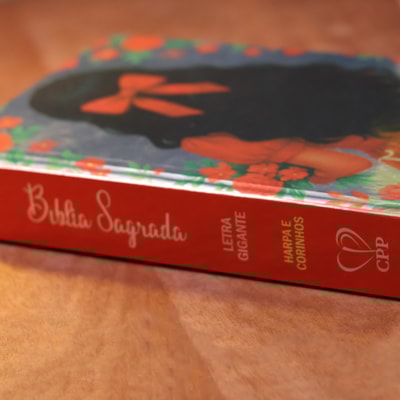 image_5bbafe1d-1c2c-4846-9170-b87a74da0b96