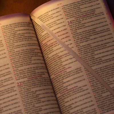 image_51d91bed-c9e1-4429-9700-920d6a3ab1e2