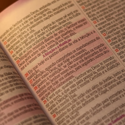 image_5640c466-4741-489a-9448-fa78d1e1d883