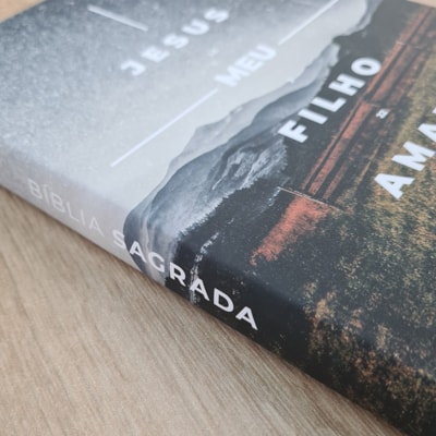 image_425baab8-9a74-444c-bf0a-066a673d37bf