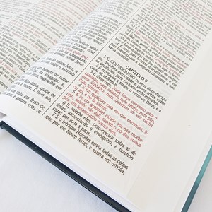 Bíblia Sagrada Flor Azul Evangelismo | ACF | Letra Maior | Capa Dura