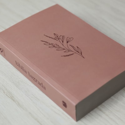 image_8cfec043-cd74-4ba7-aaeb-dbb460bfa892