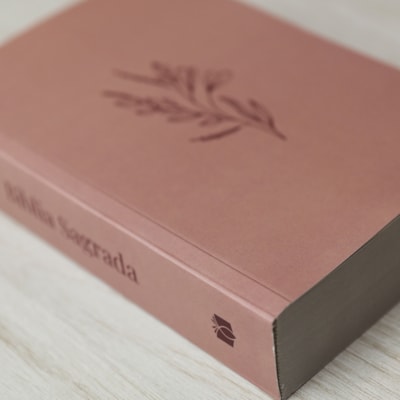 image_ae0939ee-8870-4db5-8aae-22b77246cc25