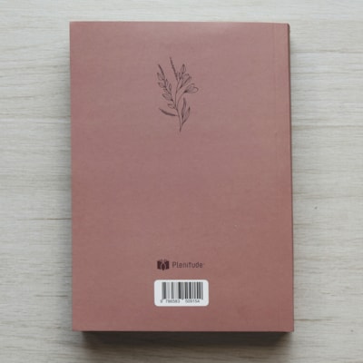 image_da707883-1e8d-4ae1-9929-36b550eccc60