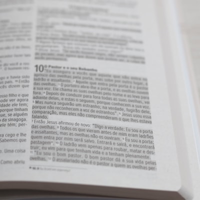 image_ee2aeccc-4a29-4244-947e-c2732f7acfe0