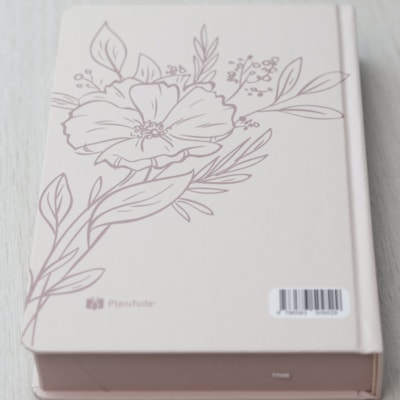 image_330eae87-2706-412c-b114-84a04e372fbf