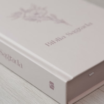 image_3099825d-4639-45de-8ce3-11e048d080da