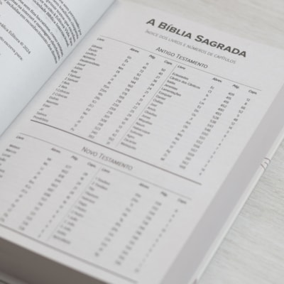 image_69953d5b-4b87-4b32-9650-a1c8829ecd1e