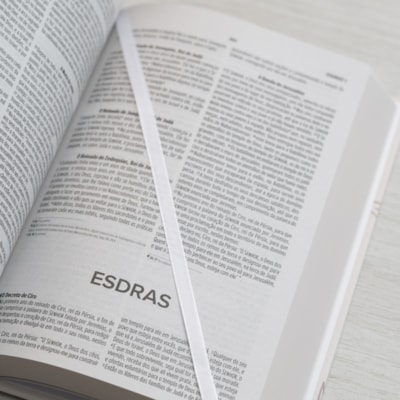 image_681047f2-448e-4c2e-957f-58d6ba79068f