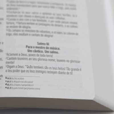 image_a6df0ac8-0c4f-406c-b33b-a7ed03c783ce