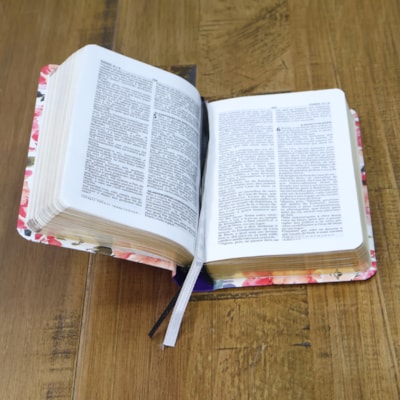 image_351ca582-be80-4af6-904a-c567b490d26d