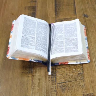 image_633d088d-e613-4aee-b509-398925005d80