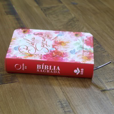 image_48665ee7-4b23-4be5-a2d8-ff2f915c0bee