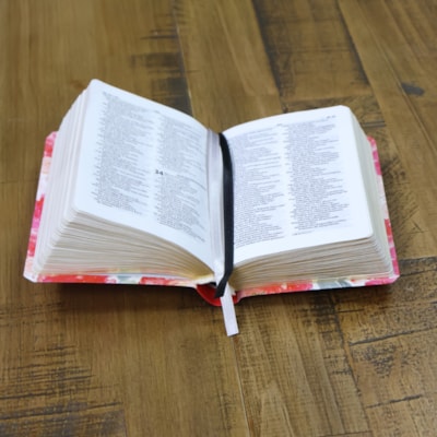 image_78d07850-7f43-4bcf-b0f8-27b11bfb83f0