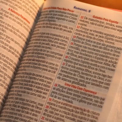 image_b375a771-b992-416e-9317-730857760c31