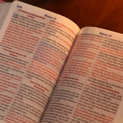 image_2bdbd18a-2f47-4b78-9eb4-5ffb0f4f1aa1