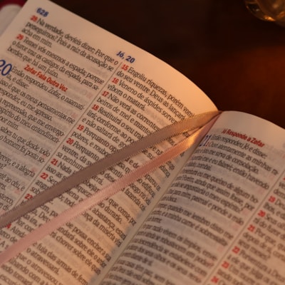 image_4db8955b-6af4-4eae-af46-196fc2849c25