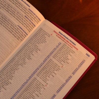 image_ddb6286b-665c-4f05-bcba-d808e5e8119b