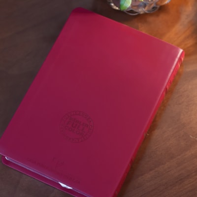 image_a07c6458-7a86-46fd-867e-dd2f5c730e98