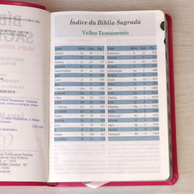 image_00ba50e6-6196-4f57-80aa-f8c86b6ed764