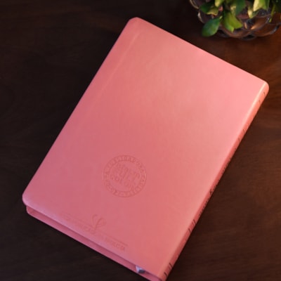 image_dbb3df39-6964-4489-9d19-bbcba7406b6e