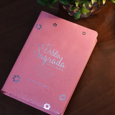 image_502f4c1b-da33-40d1-b007-1143e09b0e55