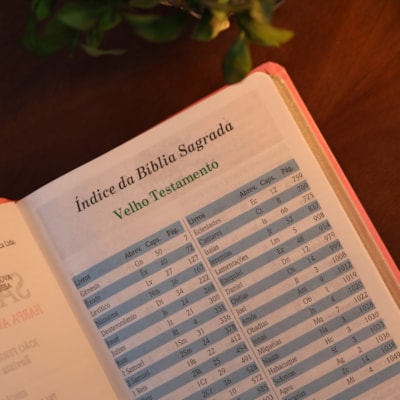 image_93049625-1b05-48be-baad-4d3b8bf2bb77