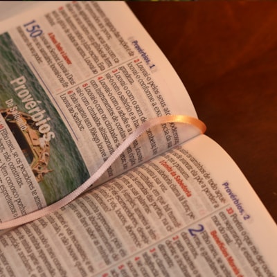 image_fb3c8643-b4c8-4d17-8a5f-537b5923e62e