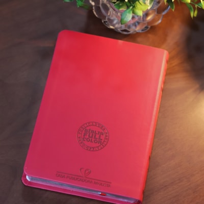 image_33214c58-25f6-4956-acbe-d3137b5ea5c1