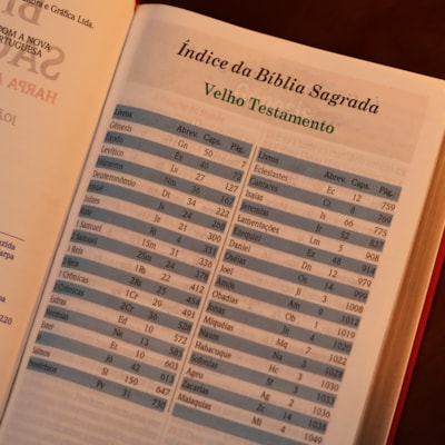 image_8a618441-d841-4684-8bd3-ca2b875a5115