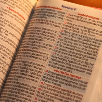 image_5f2d1558-f8e6-406d-abc3-f7ab71557ea9