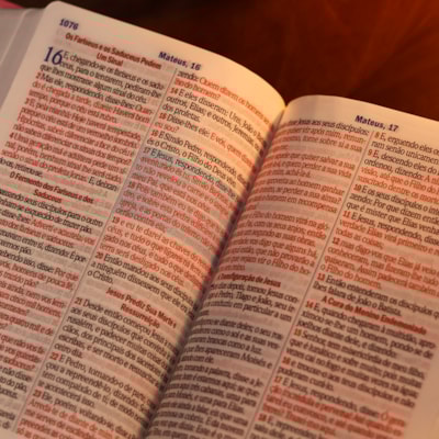 image_214480a1-e63e-424b-bc03-da90b1803a10