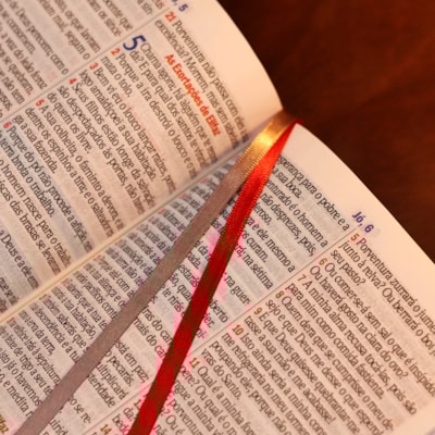 image_de439b9b-cf7b-4796-a0e7-0b5df6746e03