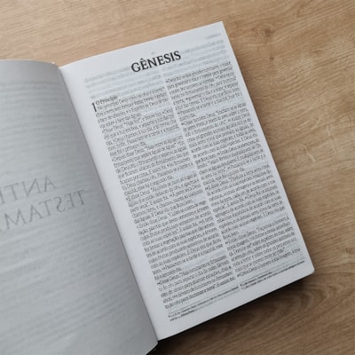 image_0c7998d8-7cdb-4e3e-bad9-010585fb7ba4