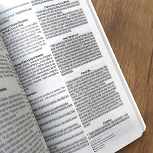Bíblia Sagrada Floral Rosê | NVI | Letra Normal | Capa Brochura