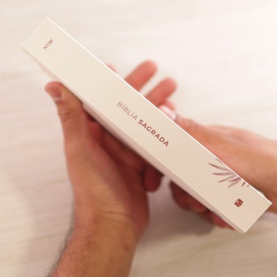 image_e4877eb7-fb5f-4380-b2f8-ed210b2bebc3