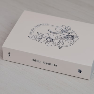 image_39070906-7f72-4a87-bfb2-7fc4d57c5ded