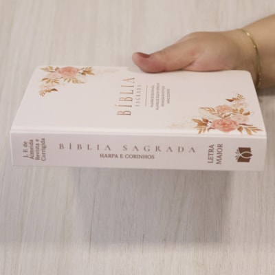 image_f5dc2a61-e62e-4b6a-8f62-67d191b7a075