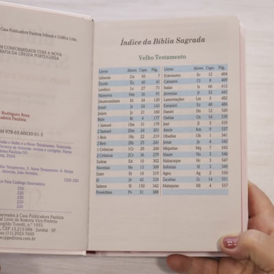 image_dd272f86-a3c7-430d-a1e7-04e69b0e7e7e