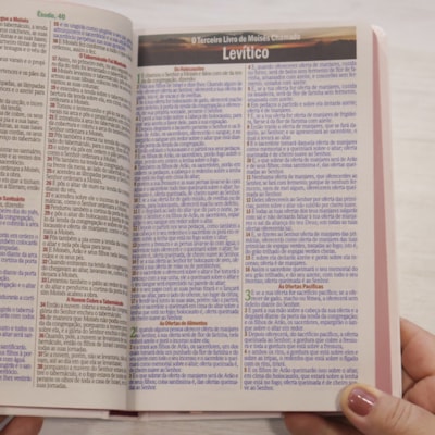 image_0a3bb854-0f28-4257-ad07-f171ef771ed7