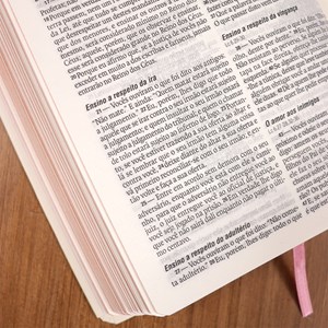 Bíblia Sagrada Flores Creme | NAA | Letra Normal | Capa Dura