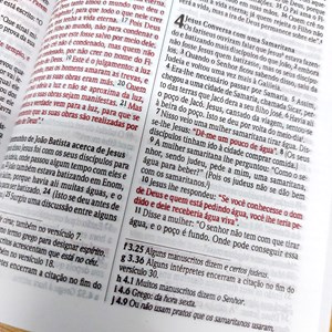 Bíblia Sagrada Flores do Campo | NVI | Letra Normal | Capa Dura