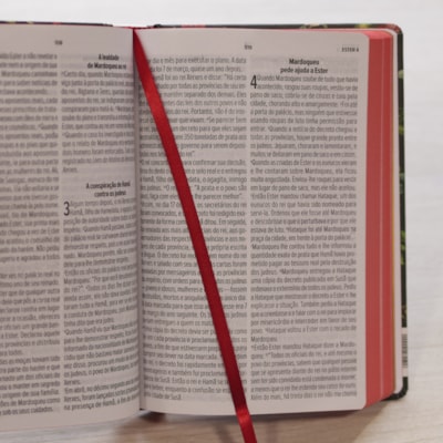 image_29ba384e-e4f9-4e09-a901-e4f6bf619d19