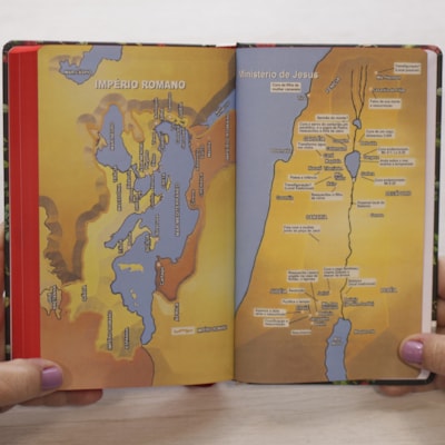 image_101fc0db-7986-4147-9e83-a72d95ebc063