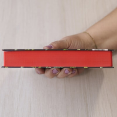 image_4dff55ac-4cda-45c2-a456-a6f1ee76e8a9