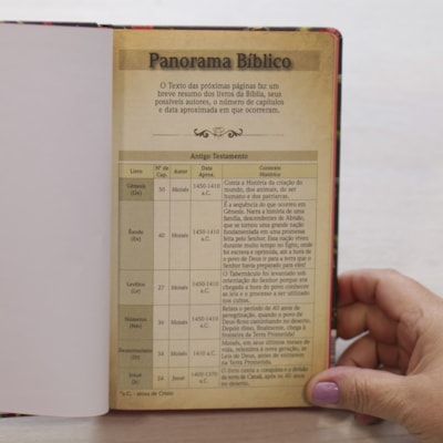 image_a724e030-3c41-4c4f-887b-863511f5ff8d